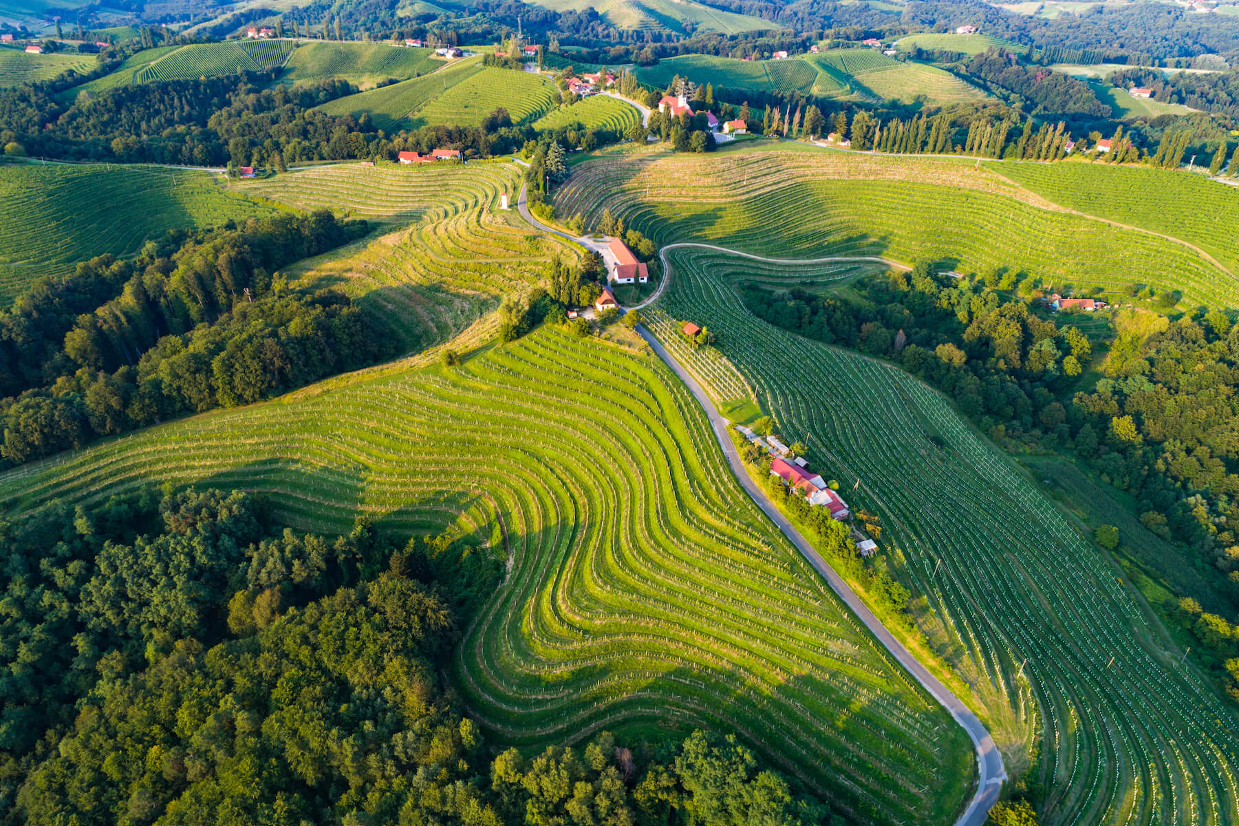 Slovenië: Europese Regio van de Gastronomie 2021 | 2Travel - Reisbureau Putte